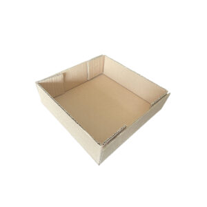 Caja Bandeja