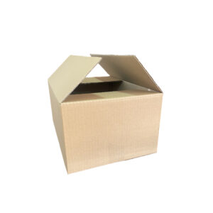 Caja Convencional