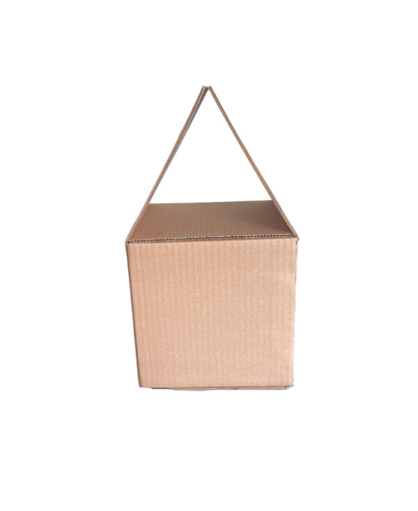 Caja Traslapada