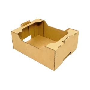 Caja de Cartón Troquelada