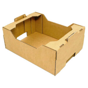 Caja Troquelada