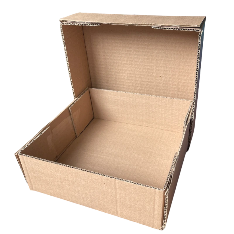 Tapafondo1 Tapafondo1