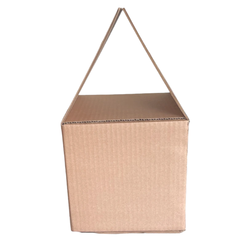 cajatraslapada2 cajatraslapada2